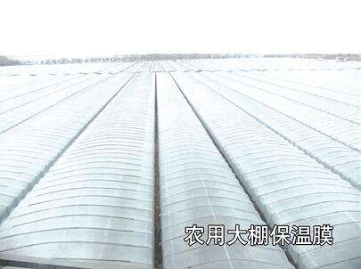 母料在吹膜-工業(yè)、農(nóng)業(yè)、包裝中的運用